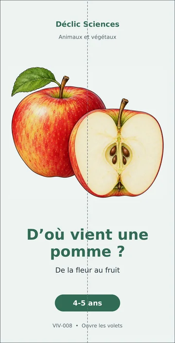 D’où vient une pomme ?, fiche pliée, en couleur.