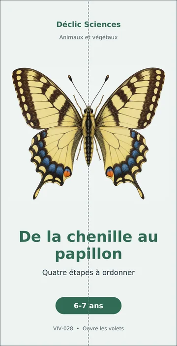 De la chenille au papillon, fiche pliée, en couleur.