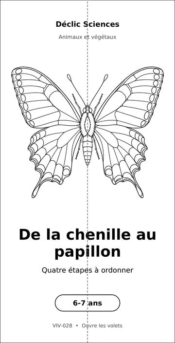 De la chenille au papillon, fiche pliée, à colorier.